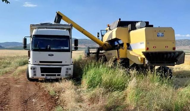Gaziantep’te Arpa Hasadı Başladı