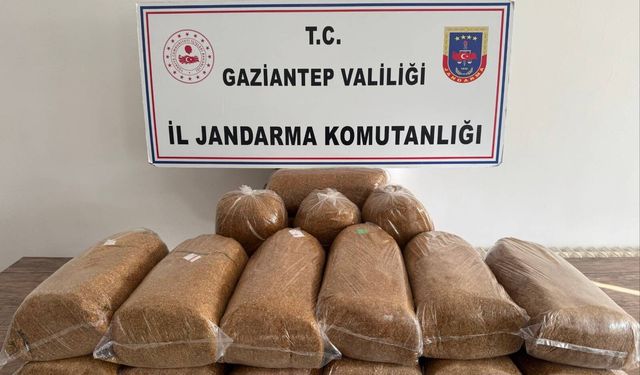 Gaziantep'te Jandarmadan Şok Darbe: 353 Firari Yakalandı