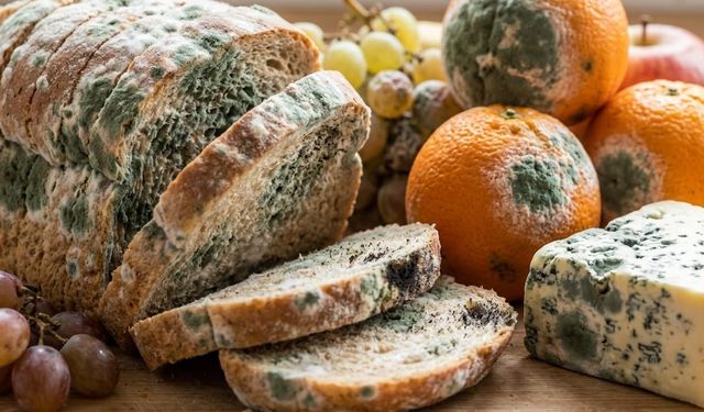 Küflü Gıdaları "Kesip Yemek" Sağlığınızdan Edebilir!