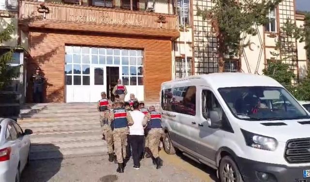 6 İlde "Sahte Hayvan Pazarı" Operasyonu