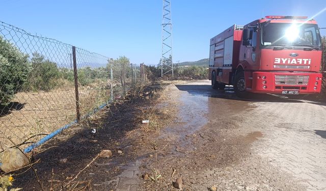 Alevler Zeytinliğe Sıçradı
