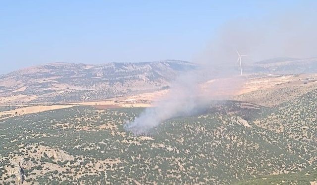 Gaziantep'te Alevler Ormana Sıçradı