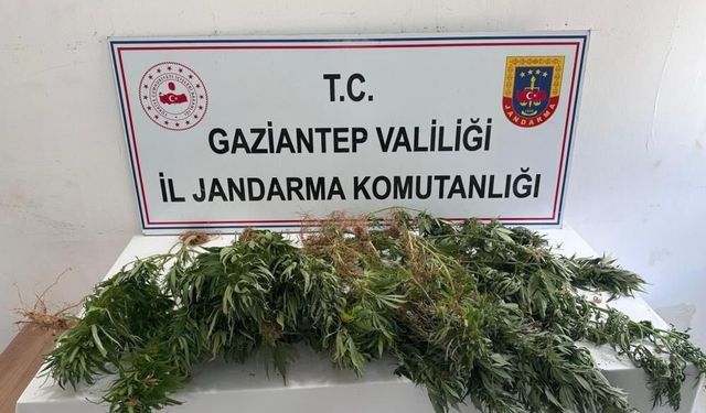 Gaziantep’te jandarmadan operasyon