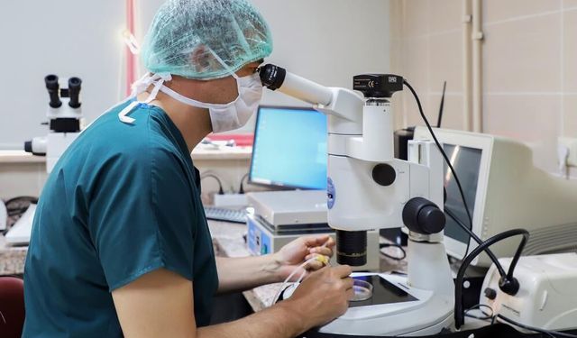 Bilim insanlarından önemli proje başarısı