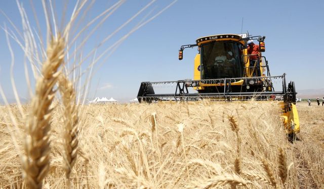 Güneydoğu ihracatında hububatın payı büyüyor