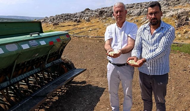 Araban’da Çiftçiler Kendi Tohumunu Üretecek