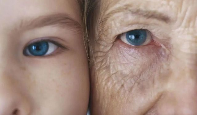 Kırışıklıklara Kesin Çözüm: Hücreleri Baştan Yaratıyor