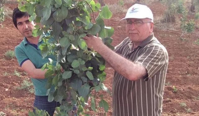 Esnafa sağlanan hak çiftçiye de verilsin