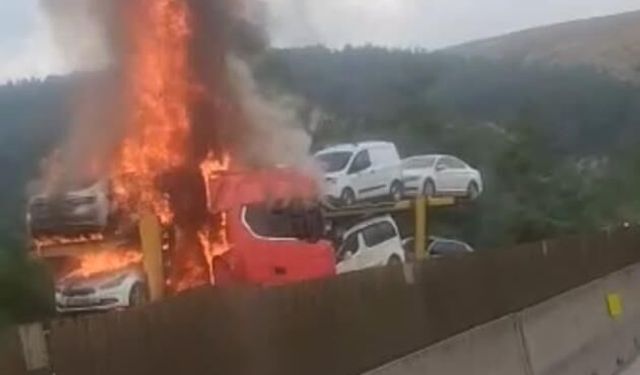 Gaziantep’e giden yolda tır alev aldı