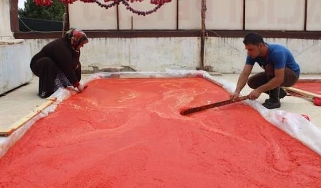 Gaziantep’te salça geleneği sofraları kışa hazırlıyor