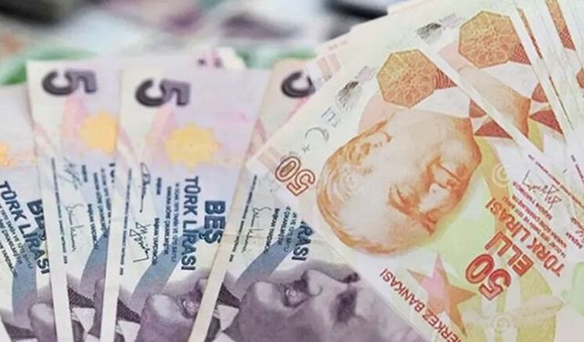 Yeni 5 ve 50 TL'ler bugün piyasaya çıktı