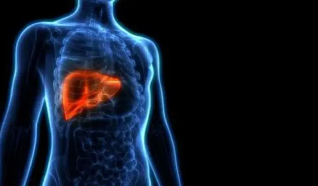 Karaciğerdeki tümör başka bir organdan kaynaklanabilir