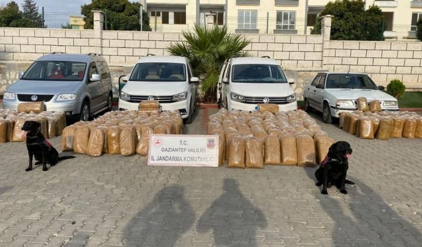 Gaziantep İl Jandarma’dan Uyuşturucu ve Kaçakçılığa Darbe