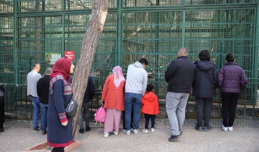 Karneyi alan hayvanat bahçesine koştu