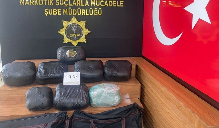 Şanlıurfa'da 32 kilogram skunk ele geçirildi: 2 gözaltı