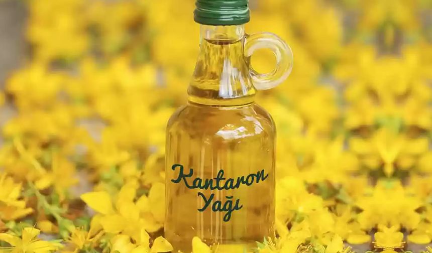 Kantaron Yağının Sağlığa Faydaları