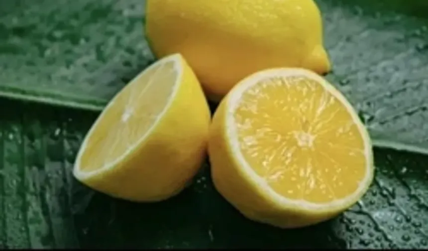 Kasım ayında fiyat farkı "limonda"