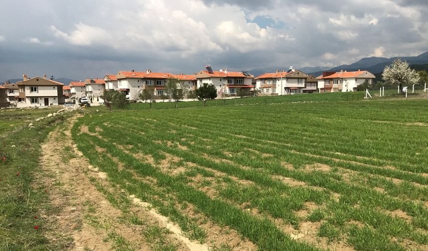 Gaziantep ve 19 İlde Arsa İhalesi Yapılacak!