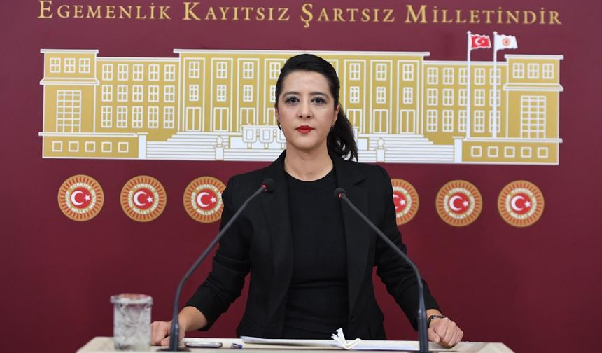 Sevda Karaca’dan bütçe tepkisi!