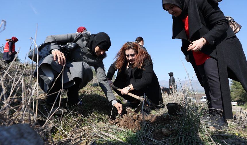 500 Fidan Toprakla Buluştu