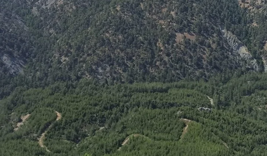 Hatay'da Ormanlık Alanlara Girişler 1 Mayıs'tan İtibaren Yasaklandı