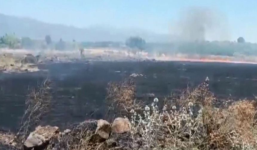 İslahiye'de çıkan anız yangını söndürüldü