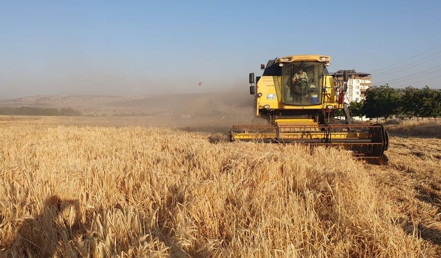 Gaziantep'te hasat sezonu açıldı!