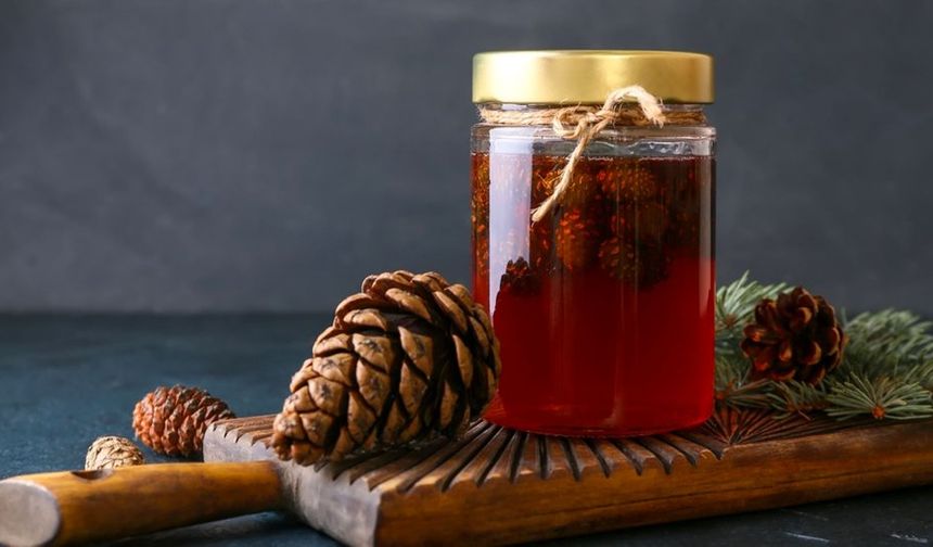 Doğadan Şifa: Kozalak Hakkında Merak Edilenler