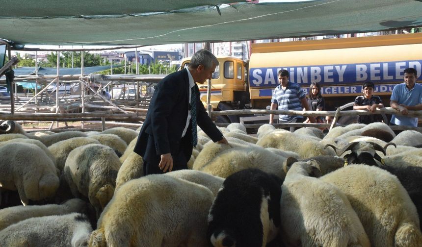 Şahinbey Belediyesinden vatandaşın bütçesini düşünen kurbanlık uygulaması