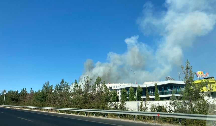 Gaziantep'te çıkan orman yangını