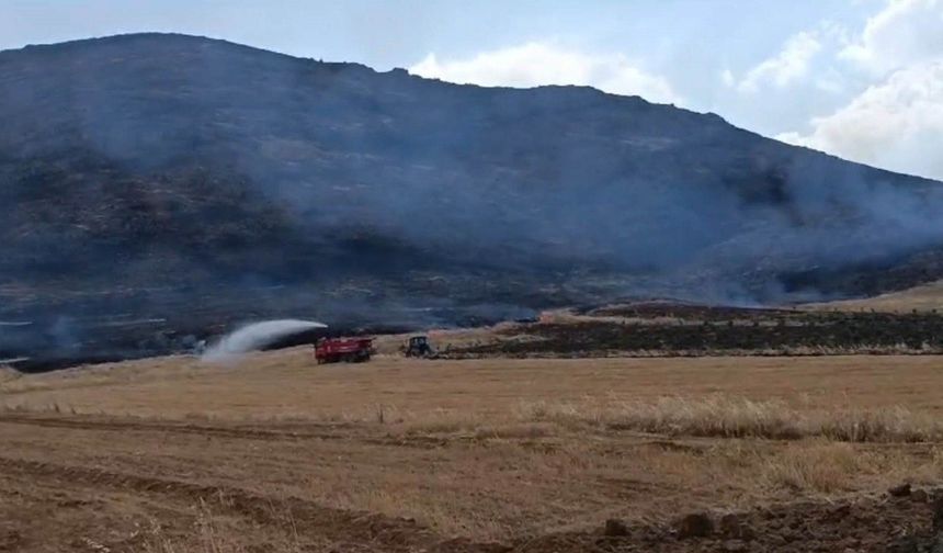 Anız Yangını Ormanlık Alana Zarar Verdi