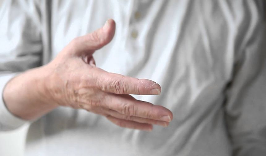 Şekerli Gıdalardan Sonra Gelen Titreme Ne Anlama Geliyor?