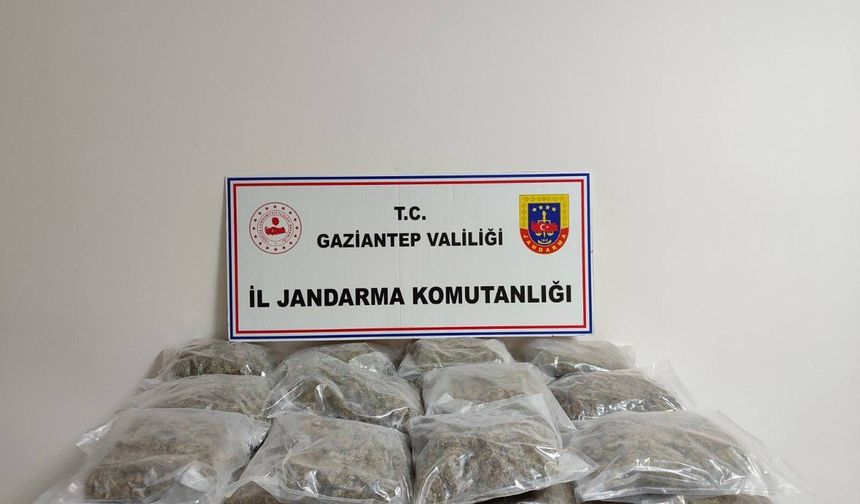 32 kilogram skunk ele geçirildi