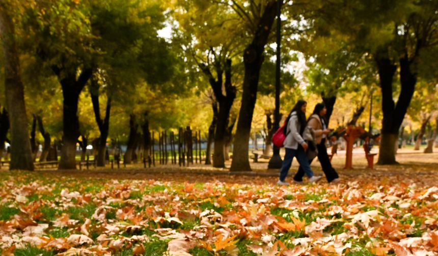 Sonbaharda Kartpostallık Manzara