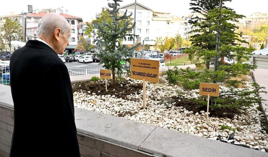 Bahçeli genel merkez önüne ‘Biz Kardeşiz Ağaçları’ dikti