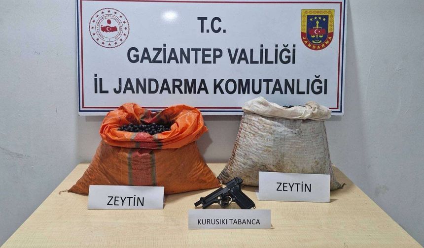 Gaziantep'te skandal hırsızlık zanlı tutuklandı!