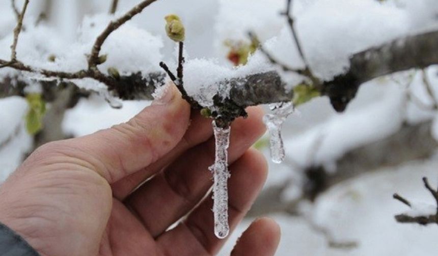 Gaziantep’te Zirai Don Ödemeleri Ne Zaman Yatacak?