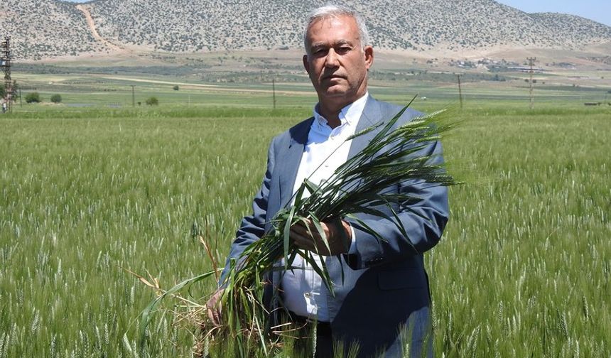 Araban’da Çiftçinin Yüzleri Gülüyor