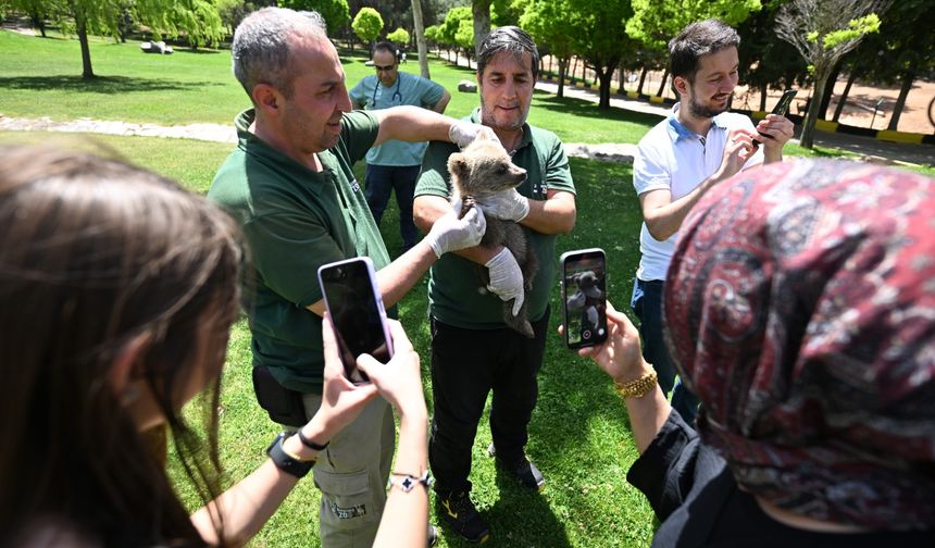 Doğal Yaşam Parkı'nın Yeni Sakinine Yoğun İlgi