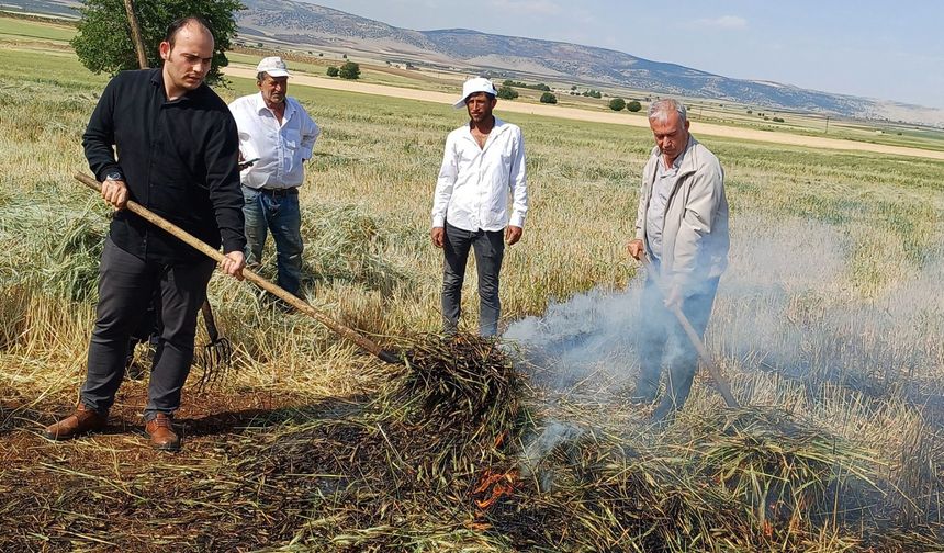 Gaziantep'te Firik Sezonu Açıldı!