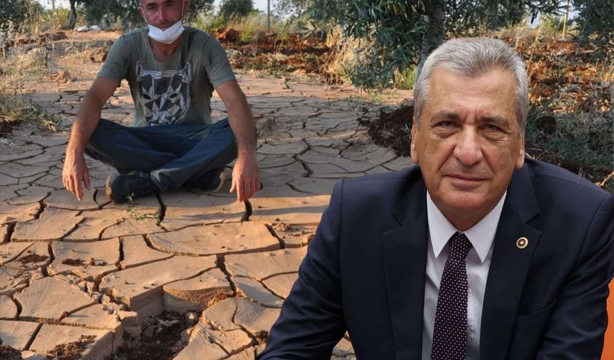 Gaziantep Tarımı Alarm Veriyor
