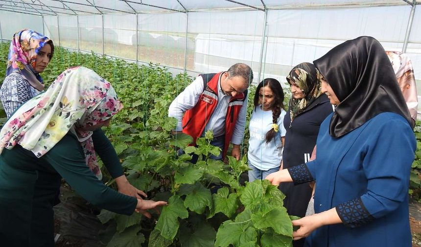 Tarımda Sessiz Devrim!