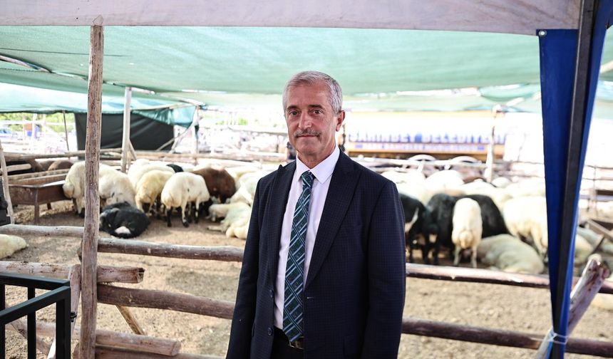 Gaziantep’te Kurban Piyasası Mercek Altında