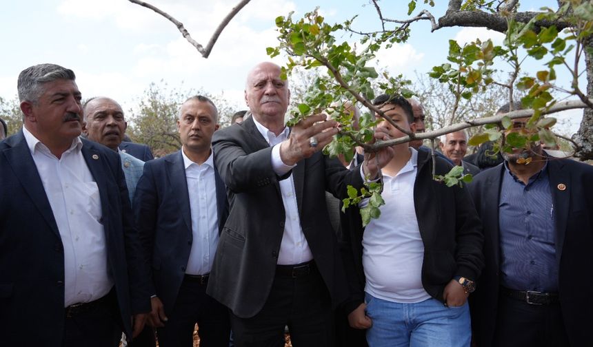 Tarımda Deprem Şehitkamil’i Vurdu!