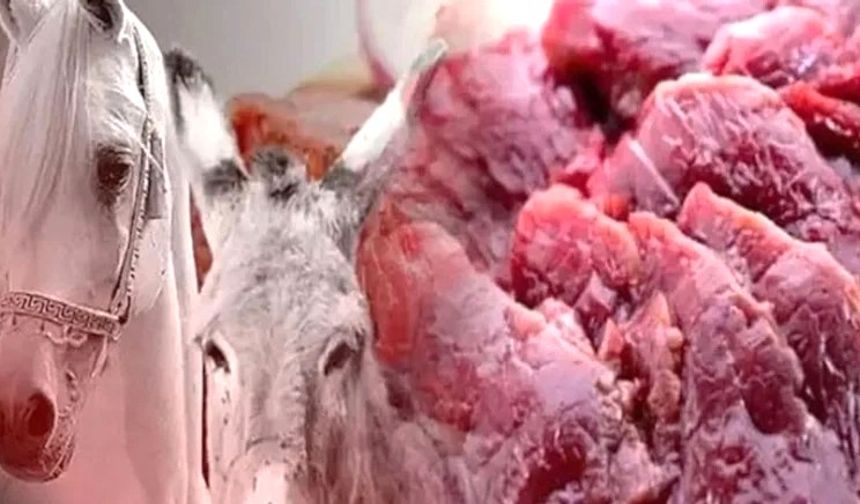 At-Eşek Eti Tartışması Devam Ediyor