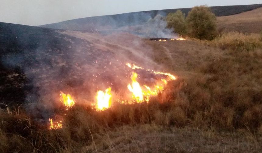İslahiye’de Anız Yangını Felakete Dönüştü