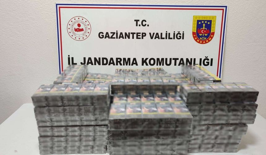 Gaziantep’te Jandarmadan Dev Operasyon!