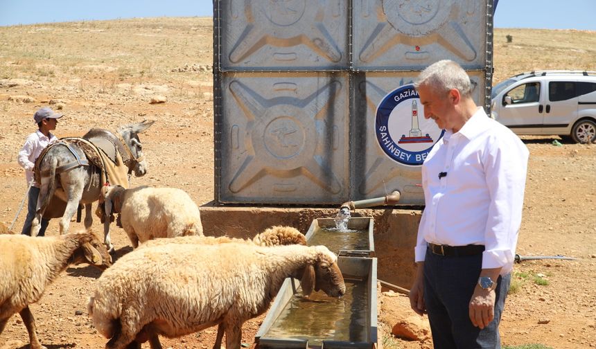 Meralarda Açılan Kuyularla Küçükbaş Hayvanların Su İhtiyacı Karşılanıyor