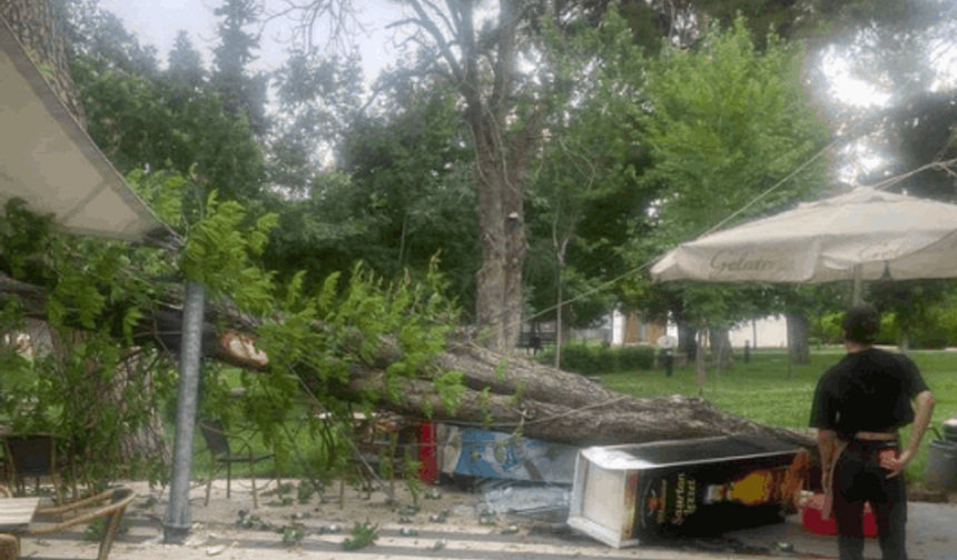 Gaziantep’te Ağaçlar Devrildi, Çatılar Uçtu