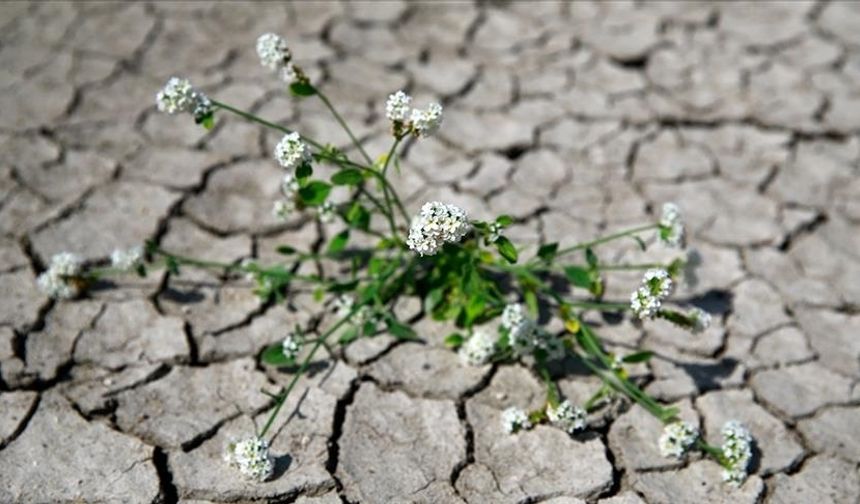 2026 Kışı İçin Ani İklim Uyarısı: Uzmanlar Tedirgin